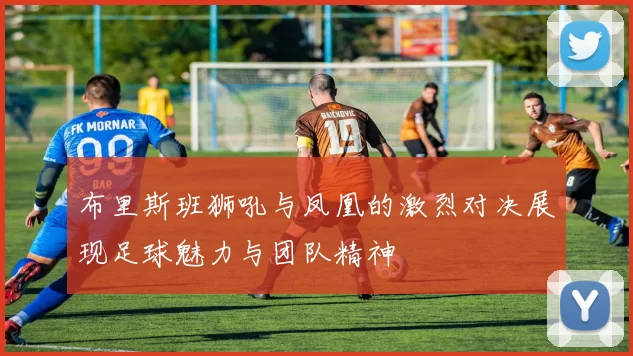 布里斯班狮吼与凤凰的激烈对决展现足球魅力与团队精神