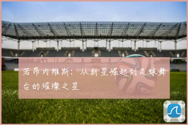 若昂内维斯：从新星崛起到足球舞台的璀璨之星